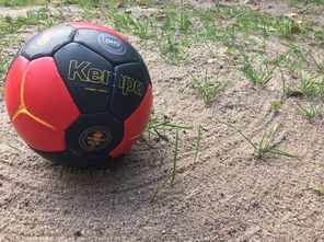 开云官方网站-中国篮球推动青少年比赛规则标准统一促进公平竞争，篮球青少年联赛